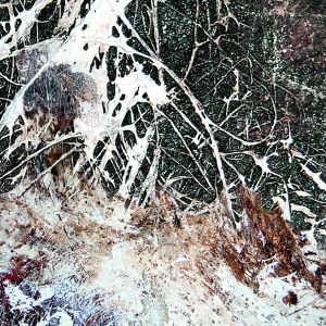 Salon international des Arts, Bruxelles Salon international des Arts, Bruxelles